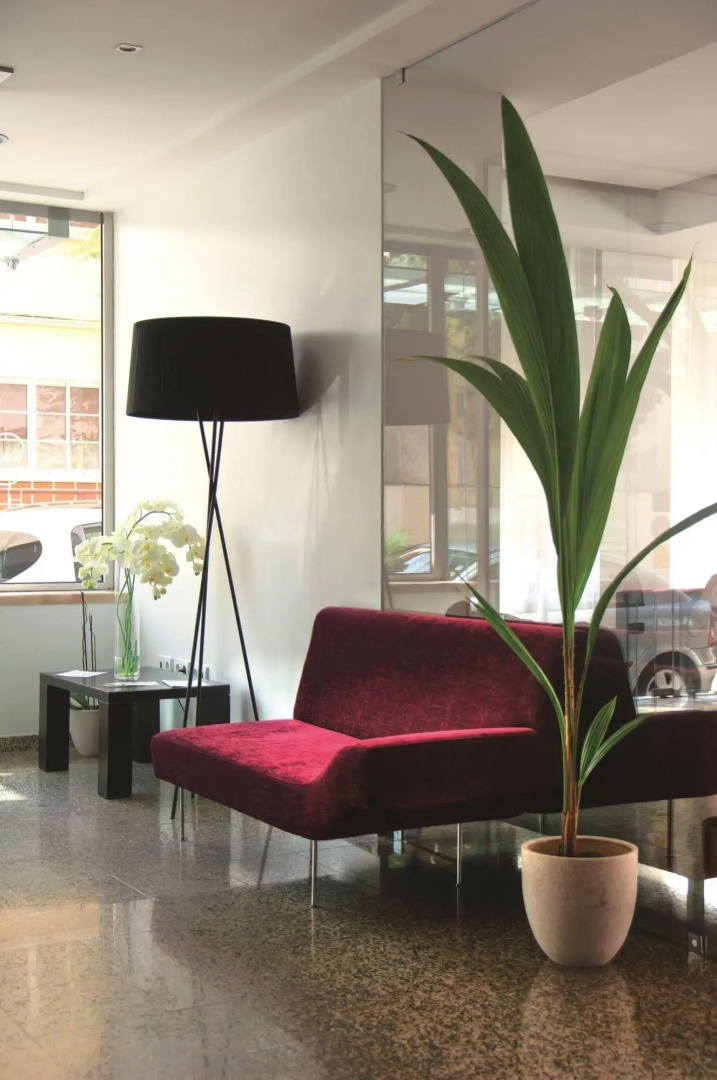 Foto - Stay Hotel Leiria