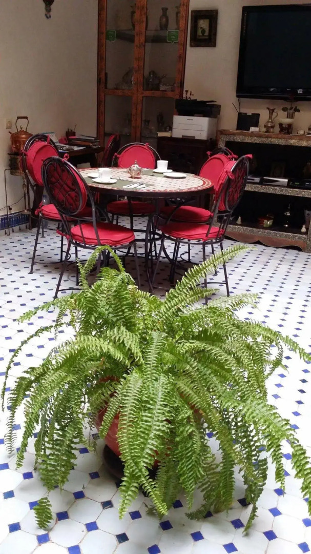 Photo - La lune de Marrakech Riad