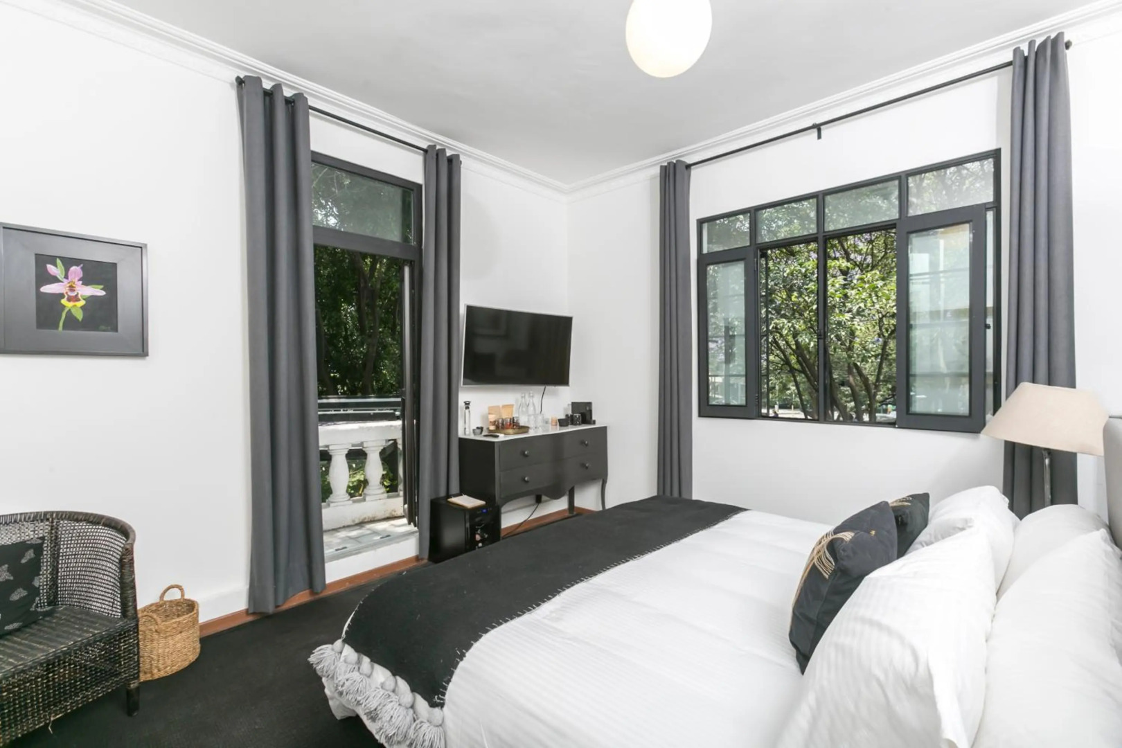 Photo - Orchid House Mexico City