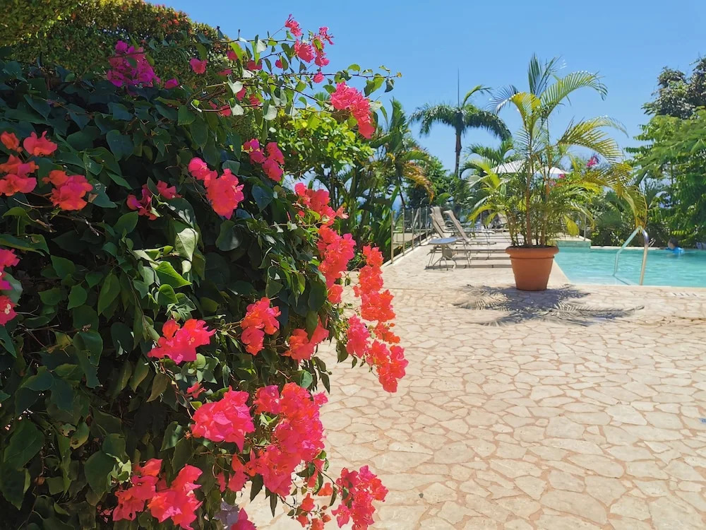 Foto - Hotel La Mariposa