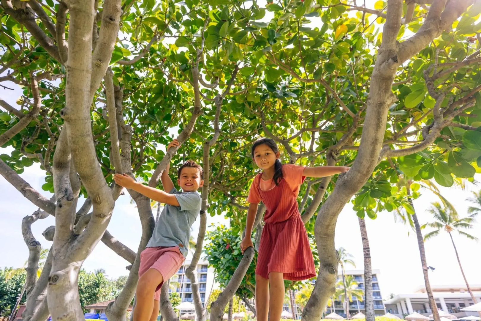 Foto - Waikoloa Beach Marriott Resort & Spa