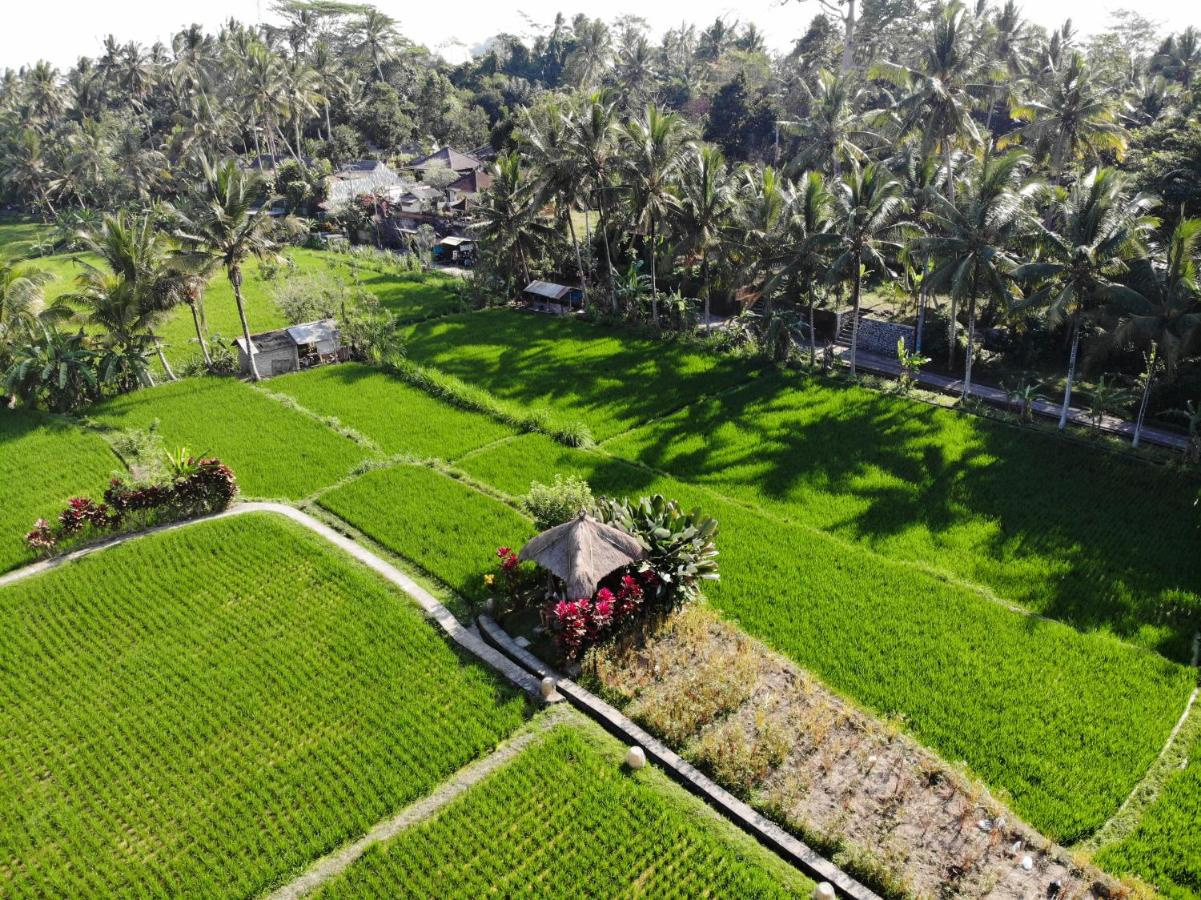 Foto - MATHIS Retreat Ubud