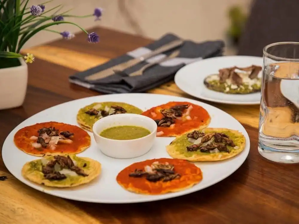 Photo - Hotel Business Real 500