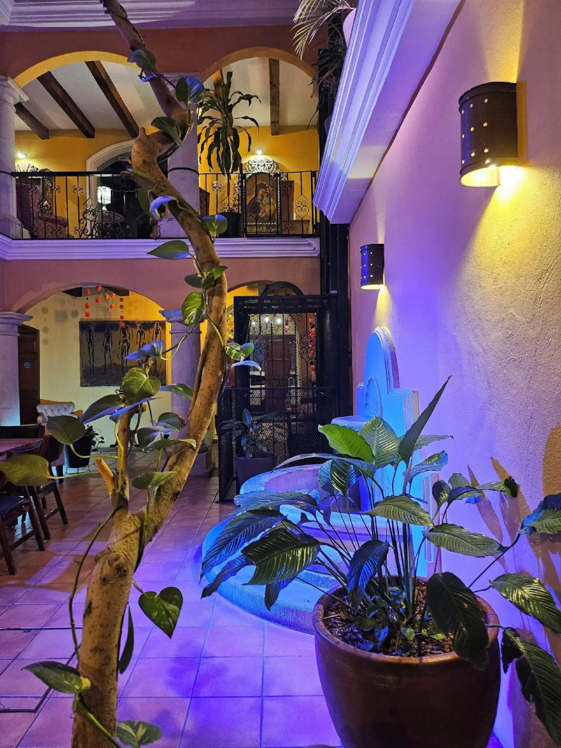 Foto - Hotel Casa Divina Oaxaca