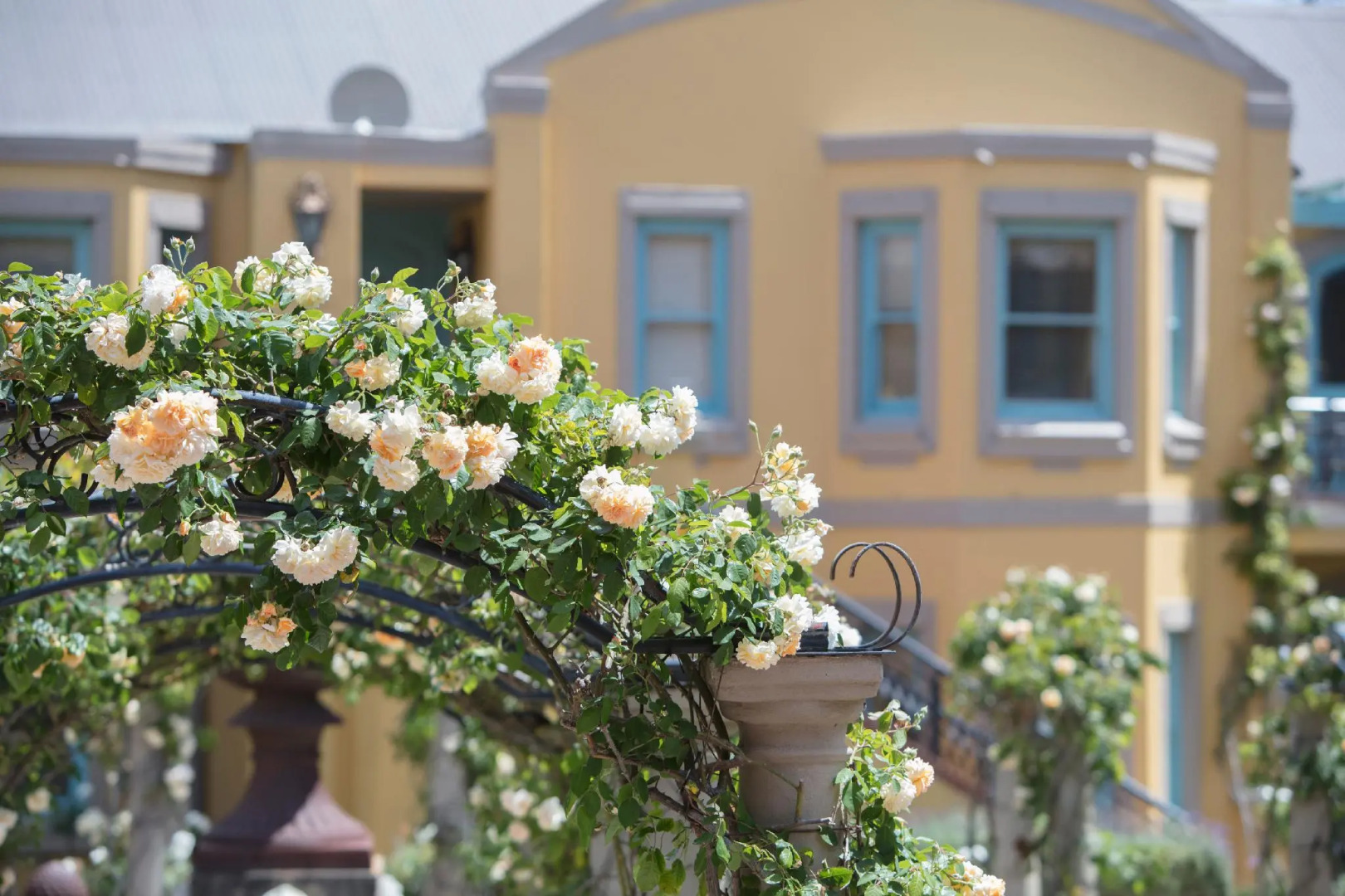 Foto - Franschhoek Country House & Villas