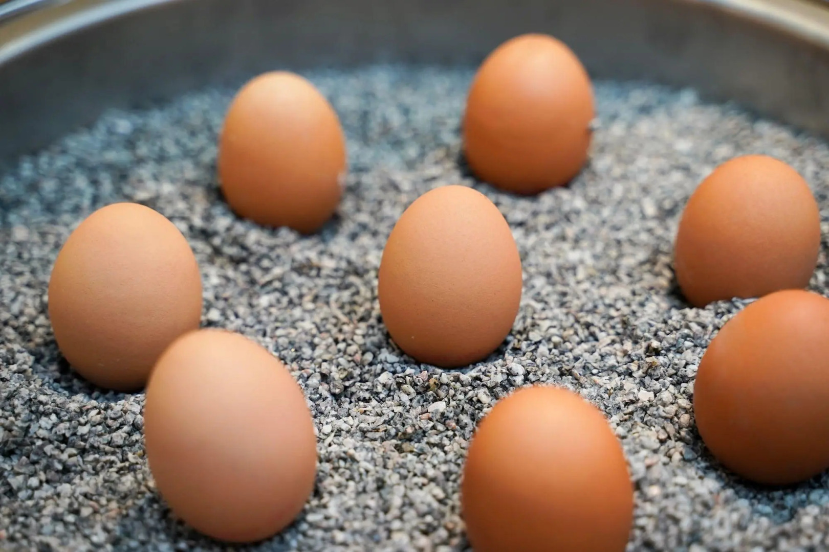 Foto - Citadines South Vienna