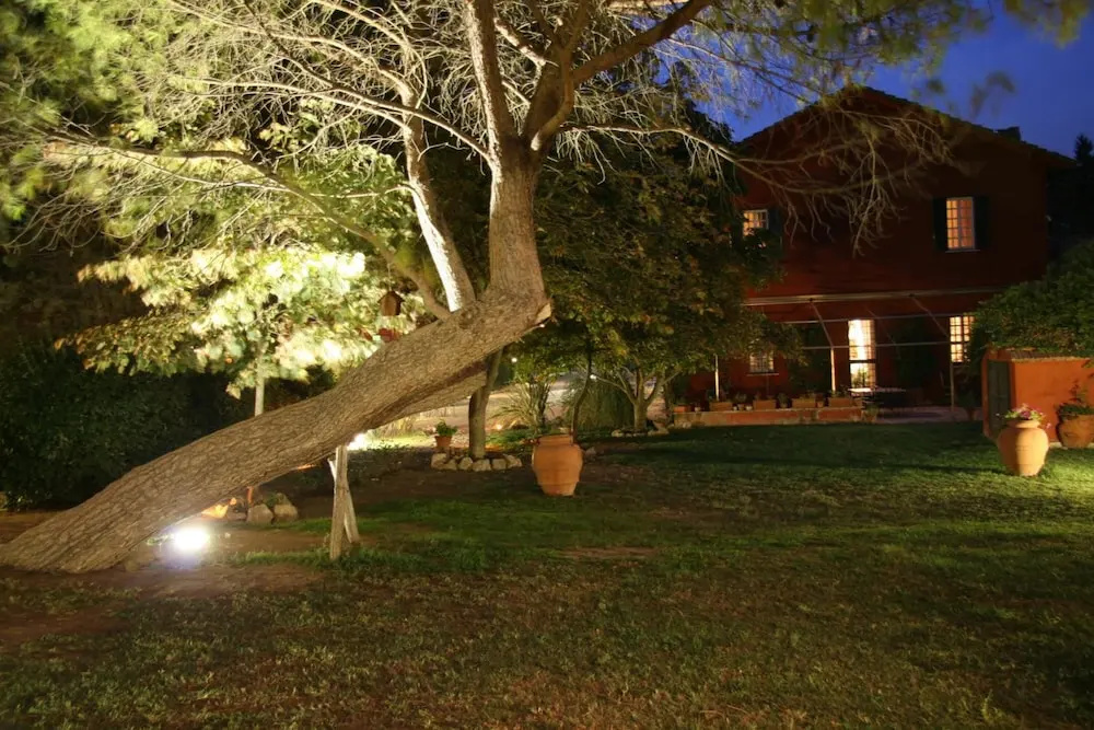 Foto - Tenuta Agricola Fonte Di Papa