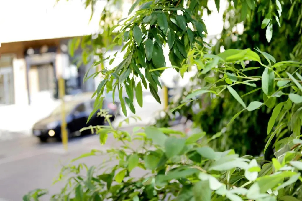 Foto - Gateway Residence