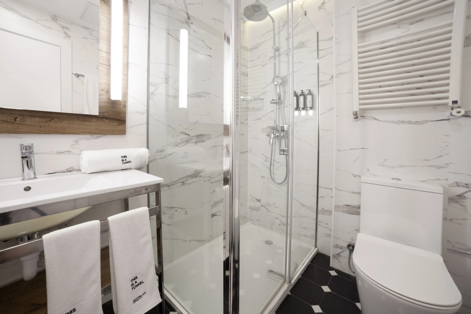 Photo - Petit Palace Arana Bilbao