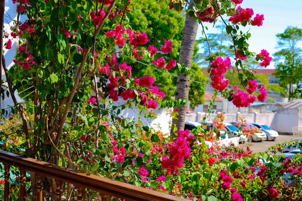 Photo - Garden Lodge