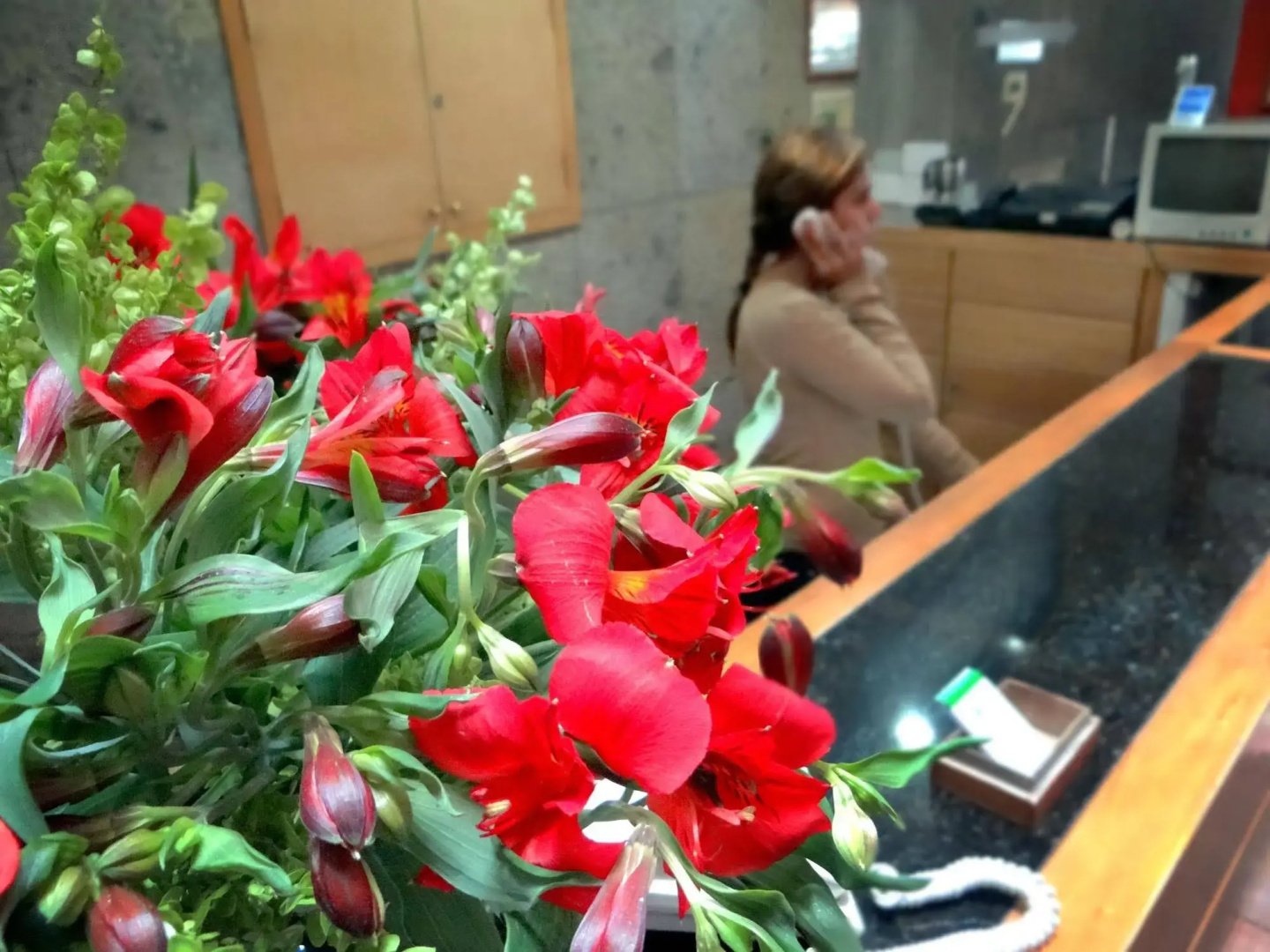Photo - Oliva Plaza Hotel