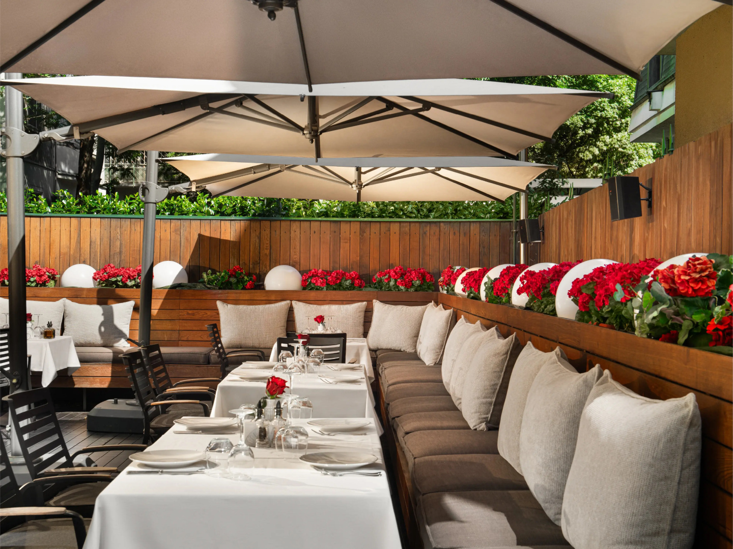 Foto - Crystal Palace Boutique Hotel