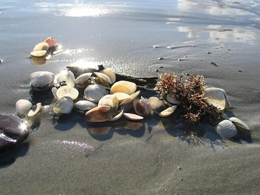 Photo - Pegasa Pils Spa Hotel