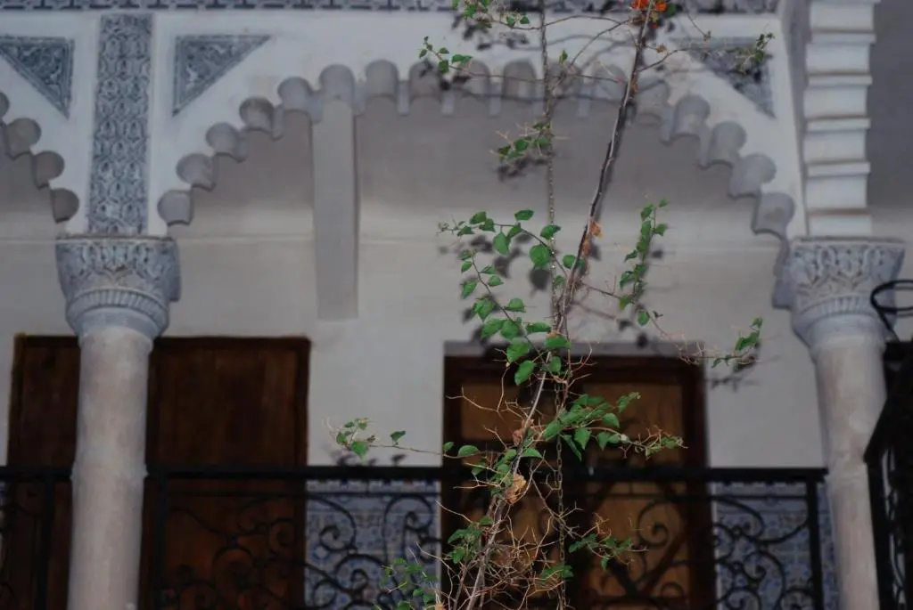 Foto - Riad Raffaa
