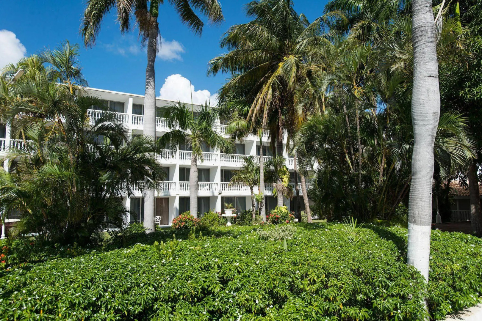 Foto - Mangrove Beach Corendon Curacao All-Inclusive Resort, Curio by Hilton