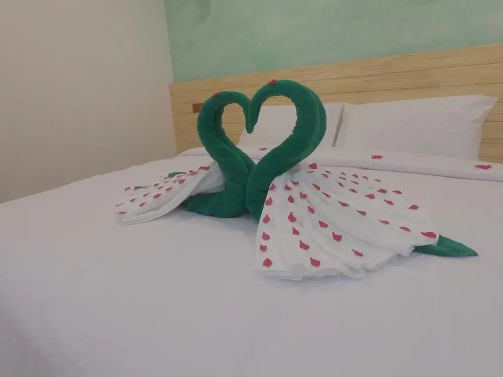 Photo - Turtle Maldives - Your Gateway to the Beach & Marine Adventures Await!