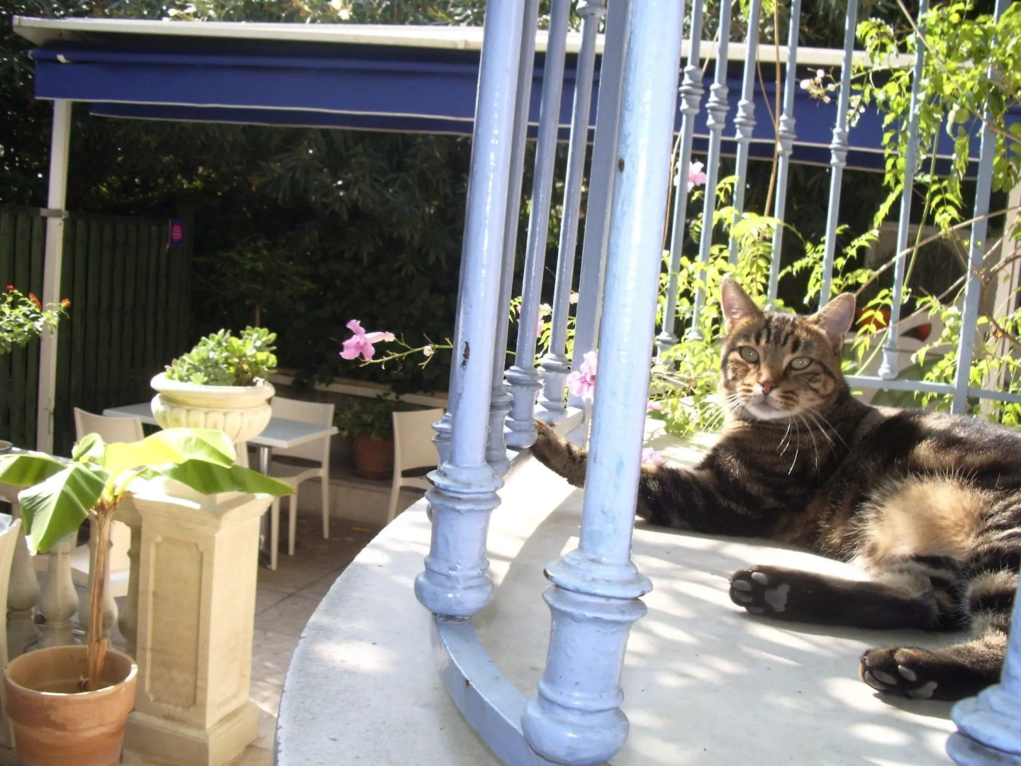 Photo - Villa Saint Hubert