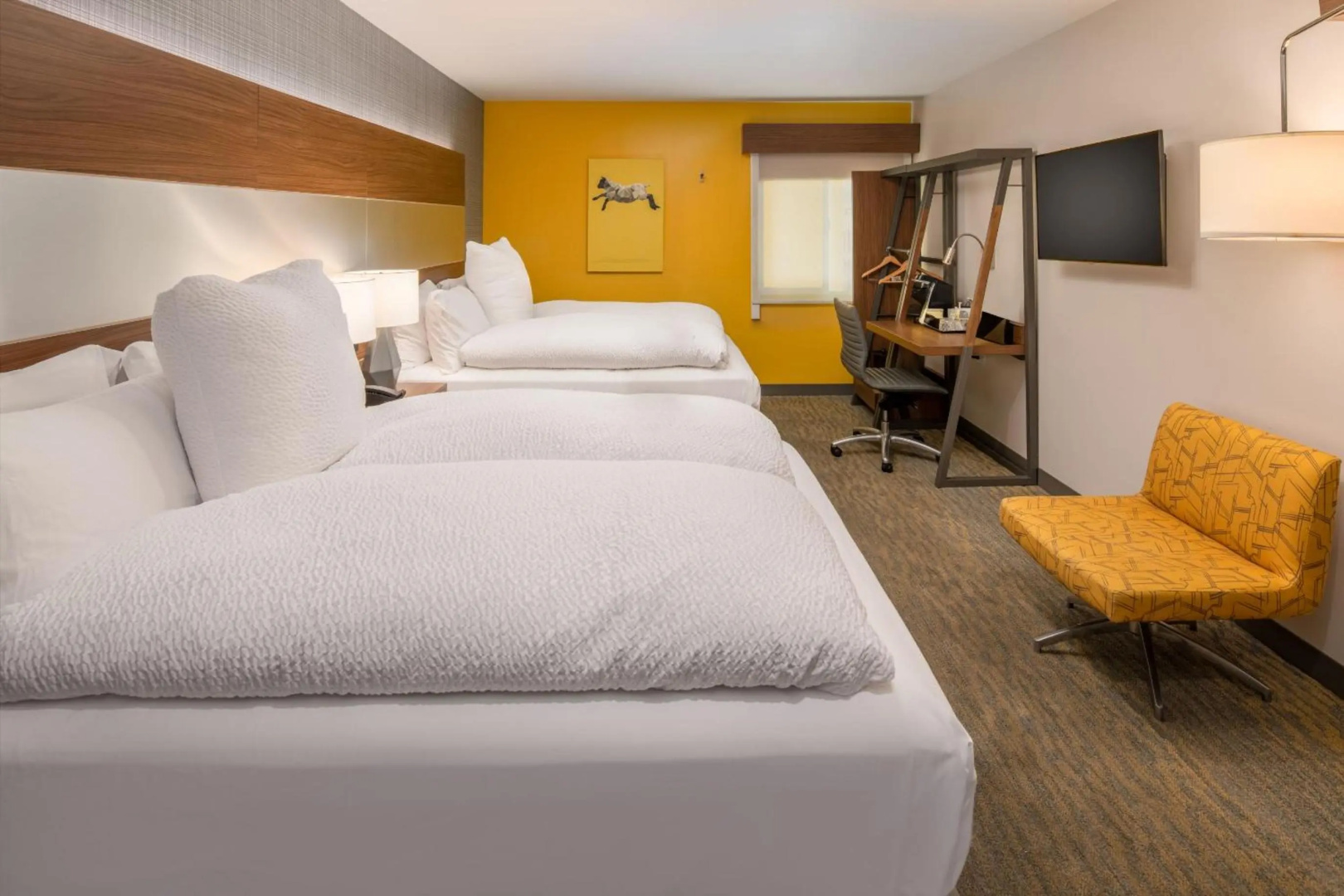 Photo - Hotel Z