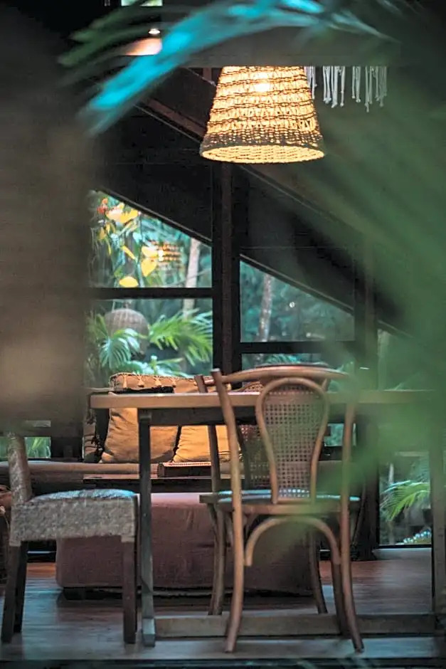 Foto - Vida Silvestre Tulum