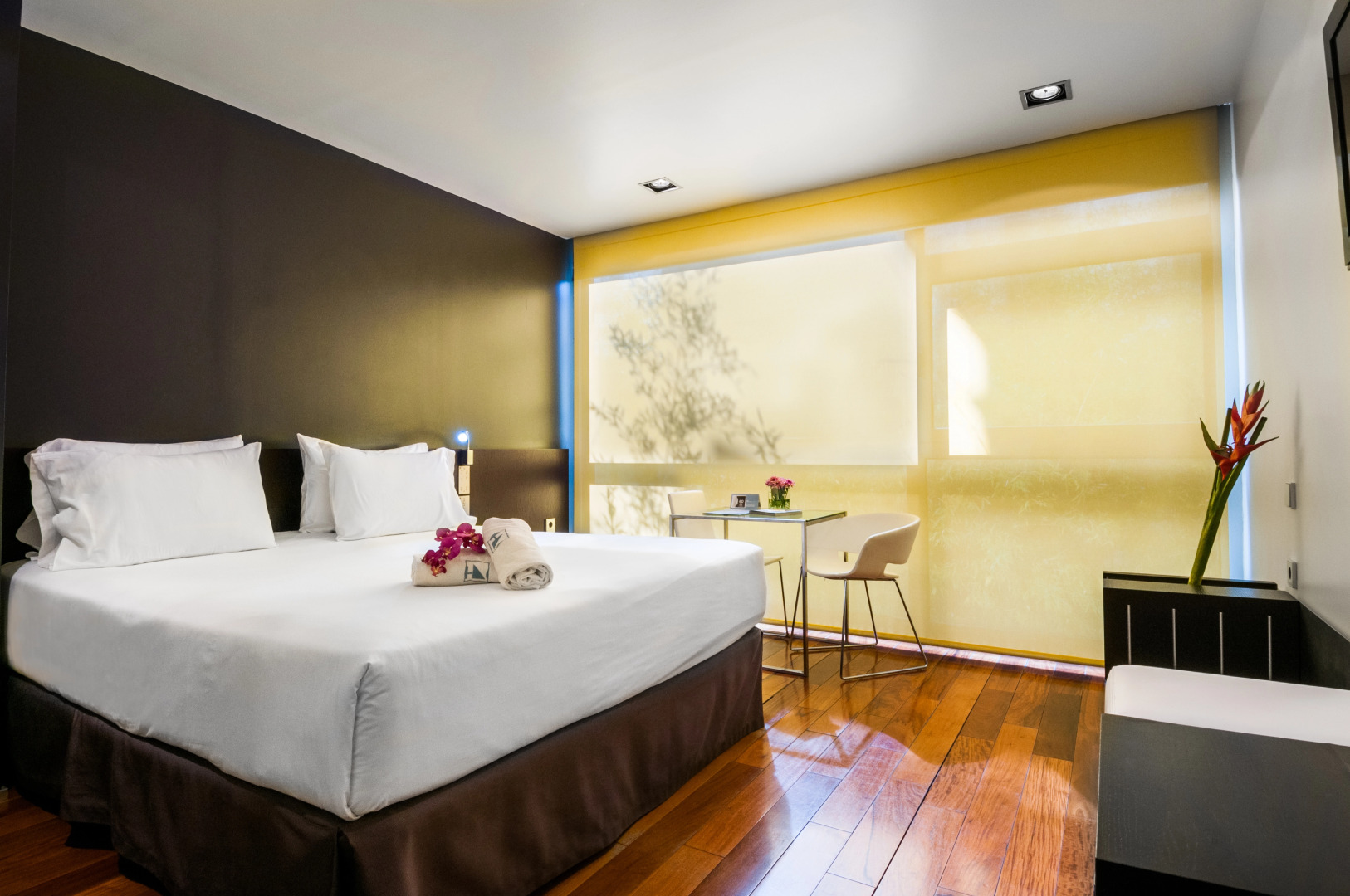 Foto - Ikonik Anglí