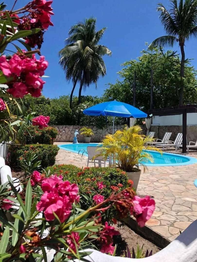 Foto - Pousada das Oliveiras