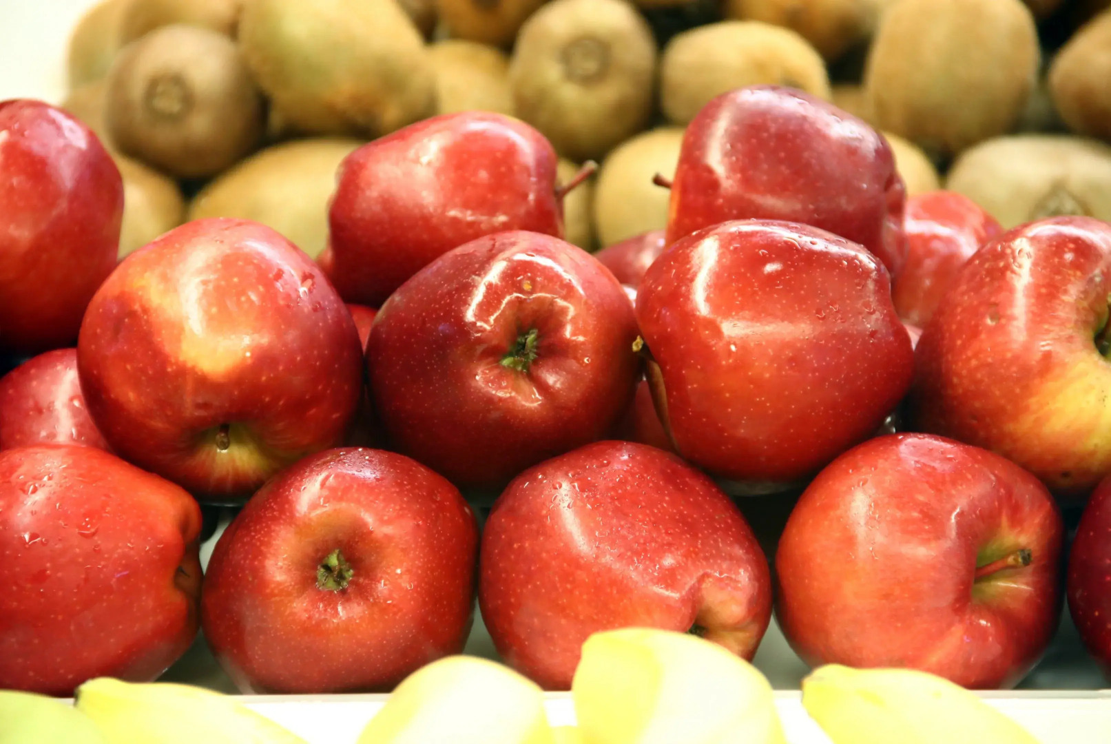 Foto - Tossa Beach Center