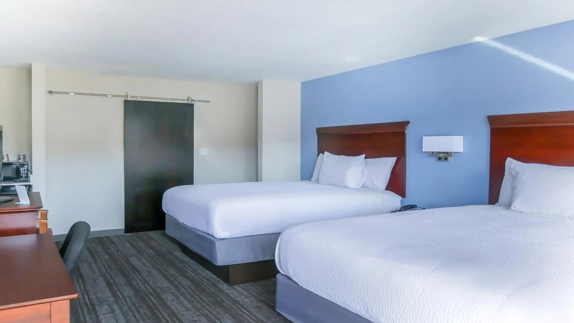 Foto - Hotel South Tampa & Suites