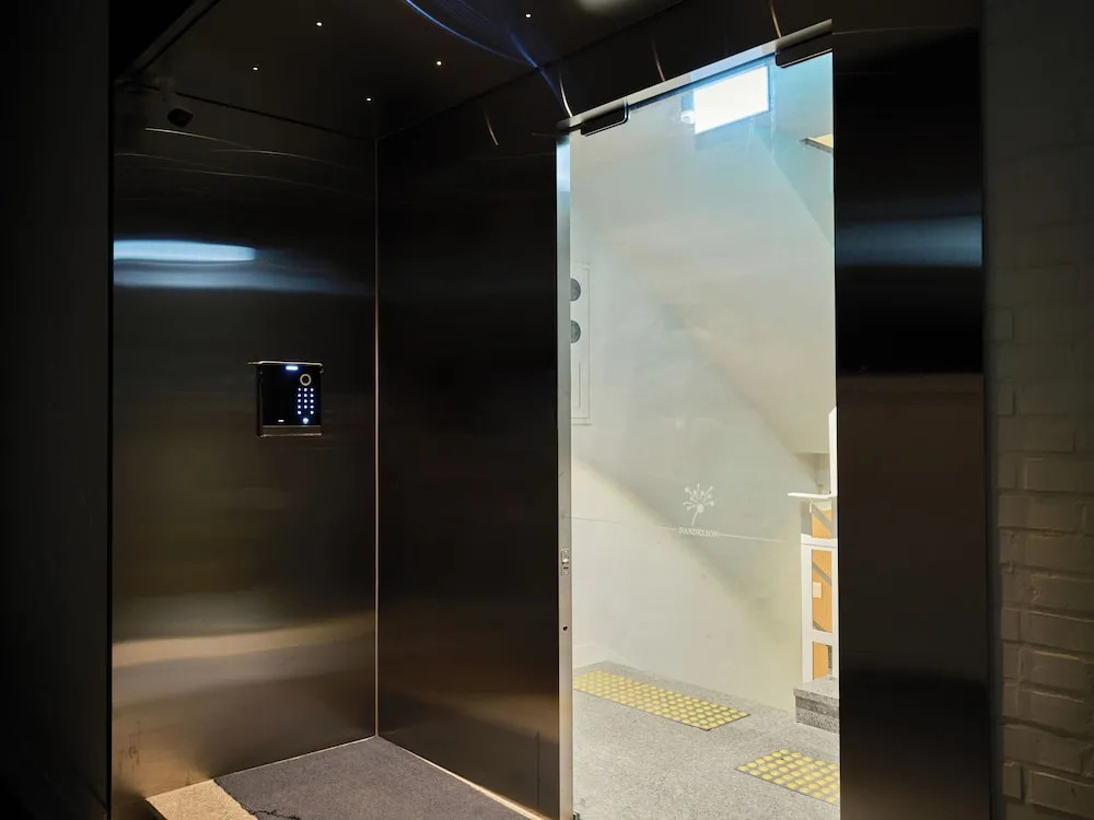 Foto - Dandelion Sinsa 1