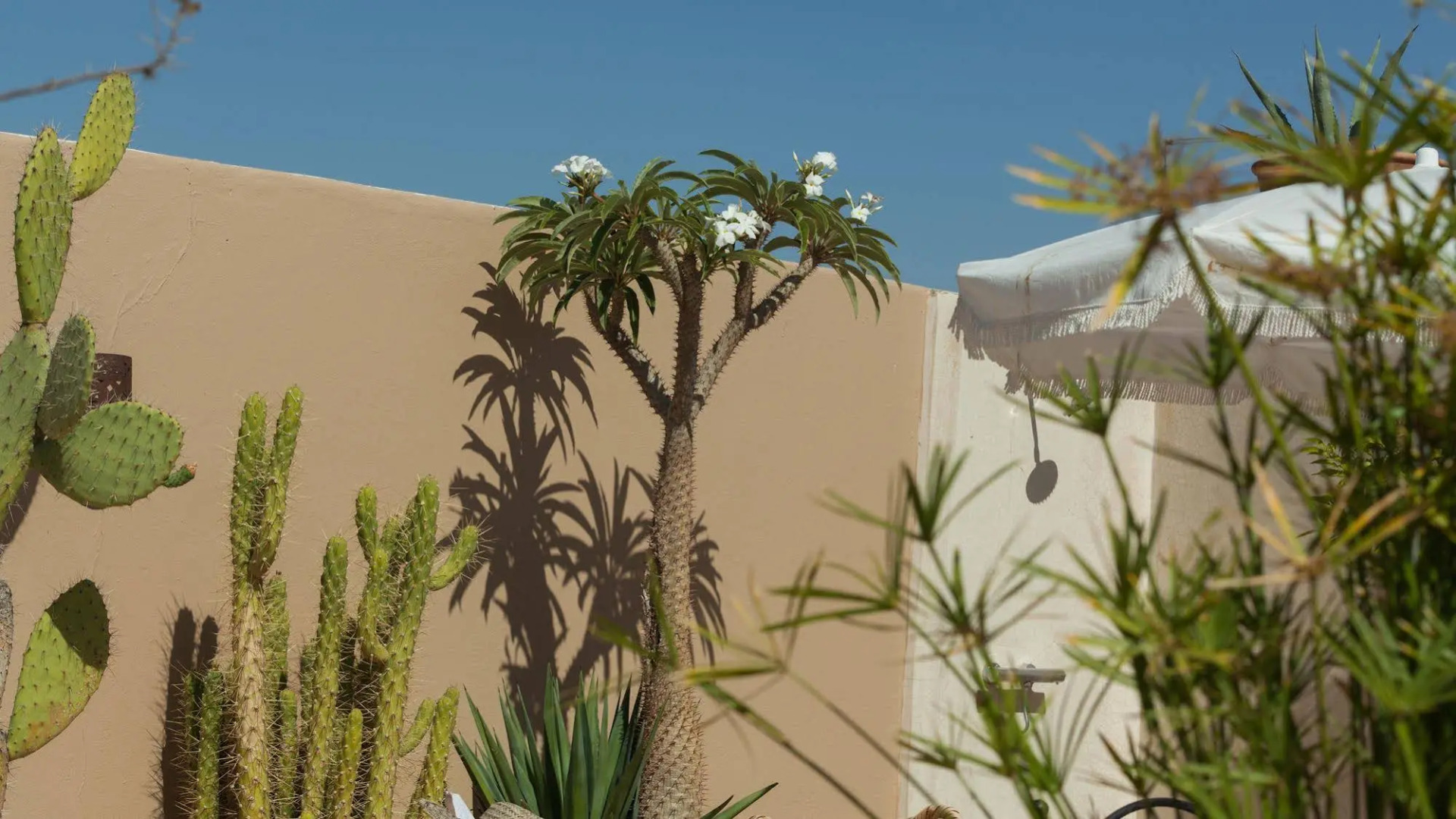 Photo - Riad Les Orangers D'alilia