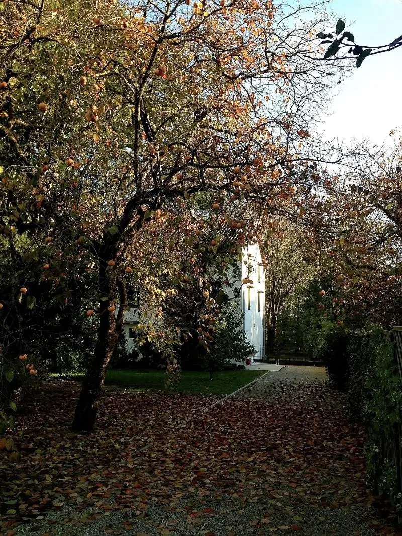 Photo - Ca' Marsure B&B