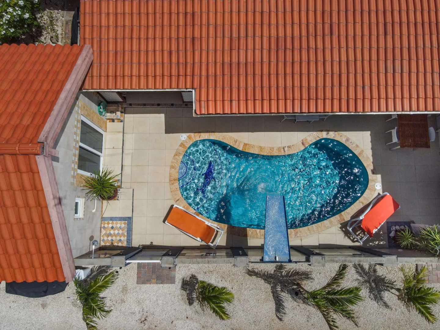 Photo - Boutique Hotel Swiss Paradise Aruba Villas and Suites