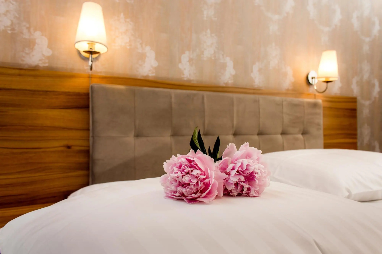 Photo - Tulip Hotels - Wroclaw Patio