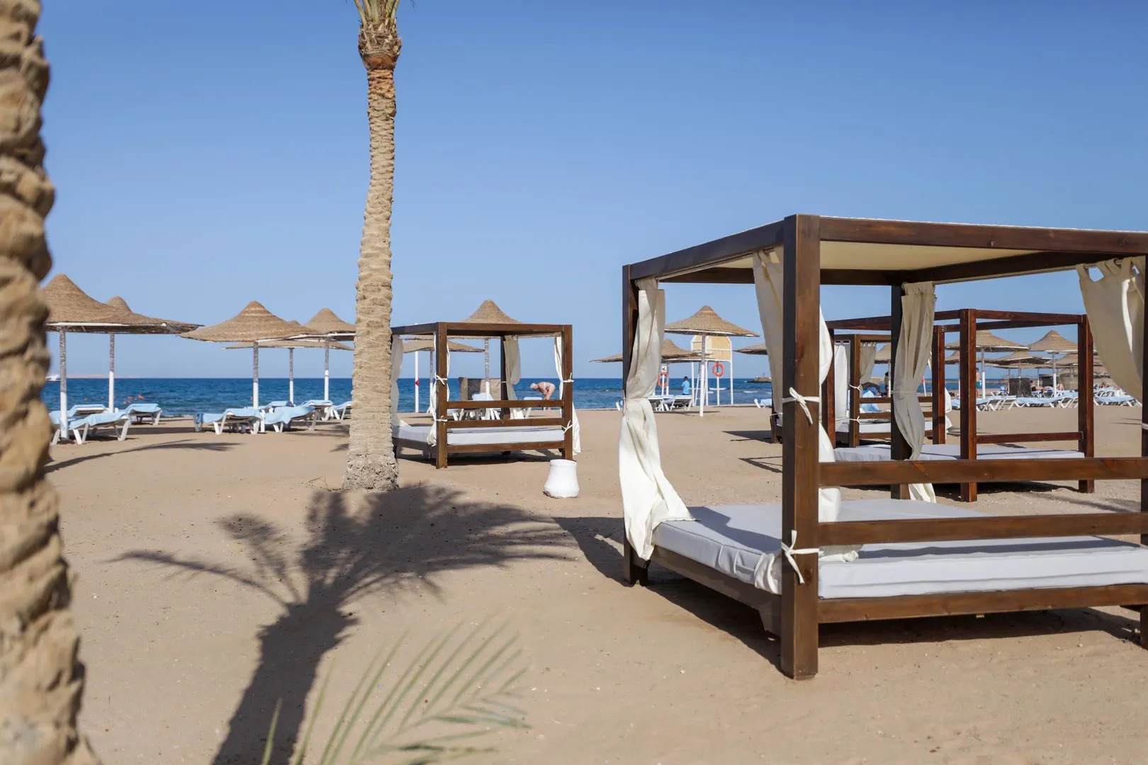 Foto - Calimera Blend Paradise