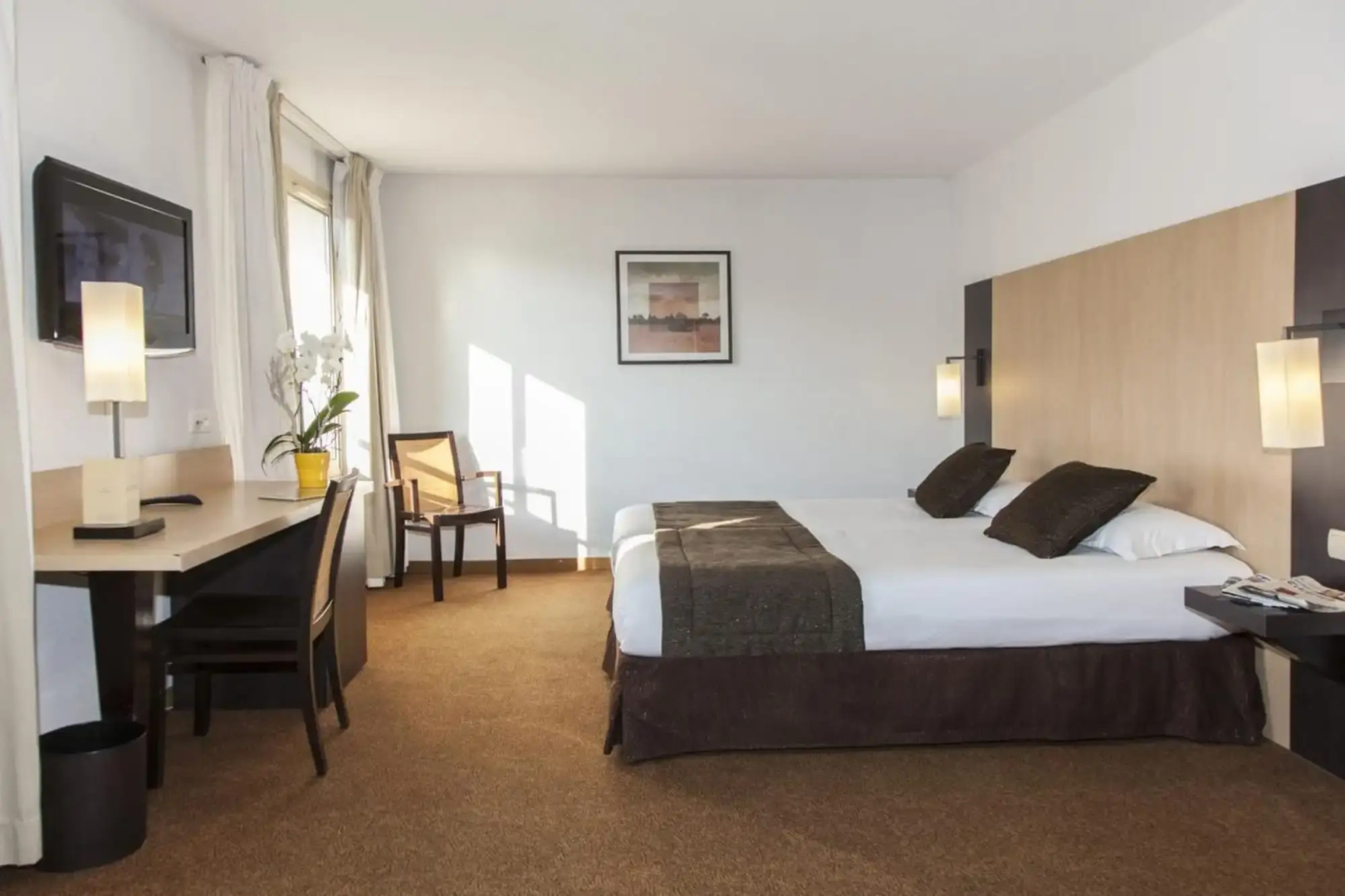 Photo - Hotel Eliseo