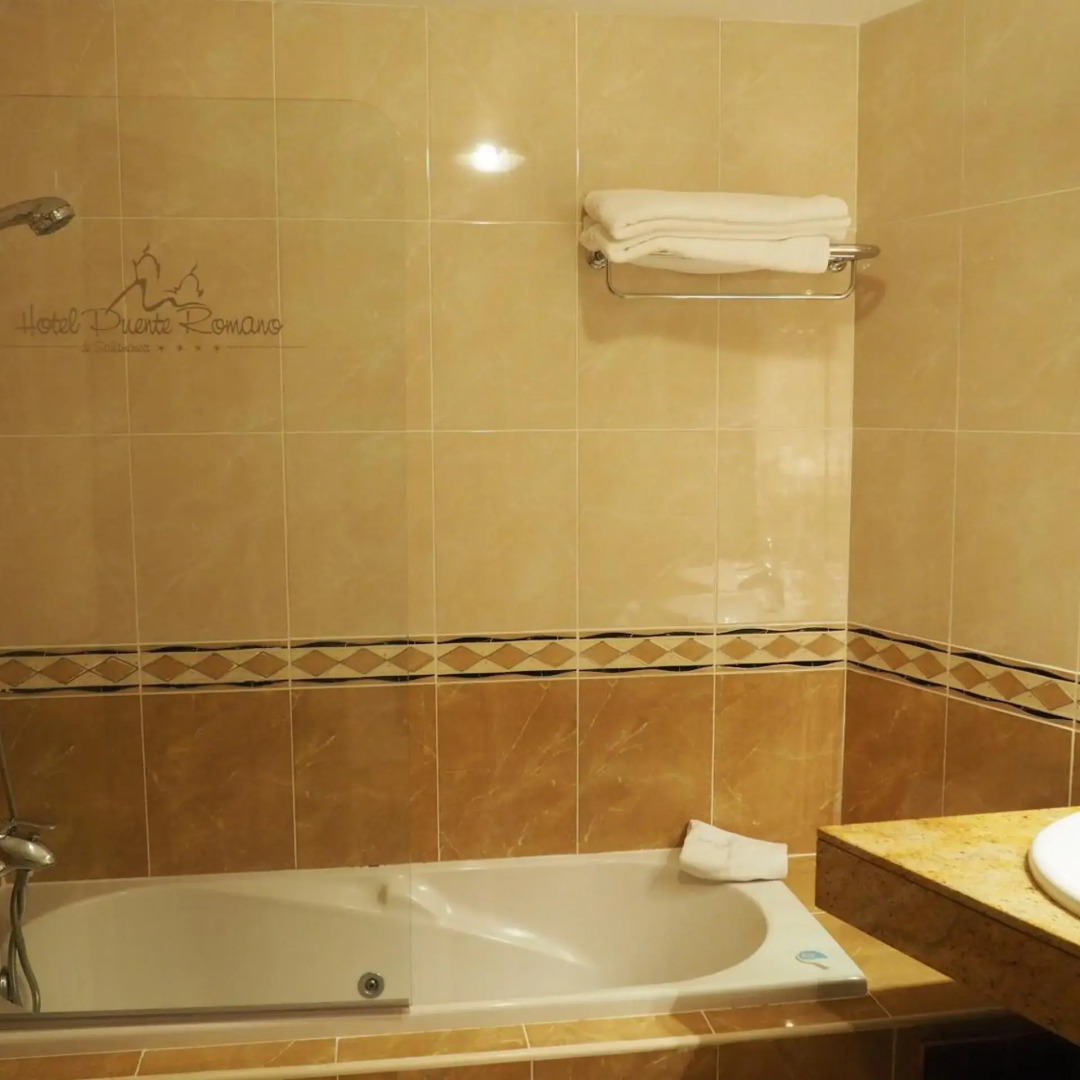 Foto - Hotel Ele Puente Romano de Salamanca