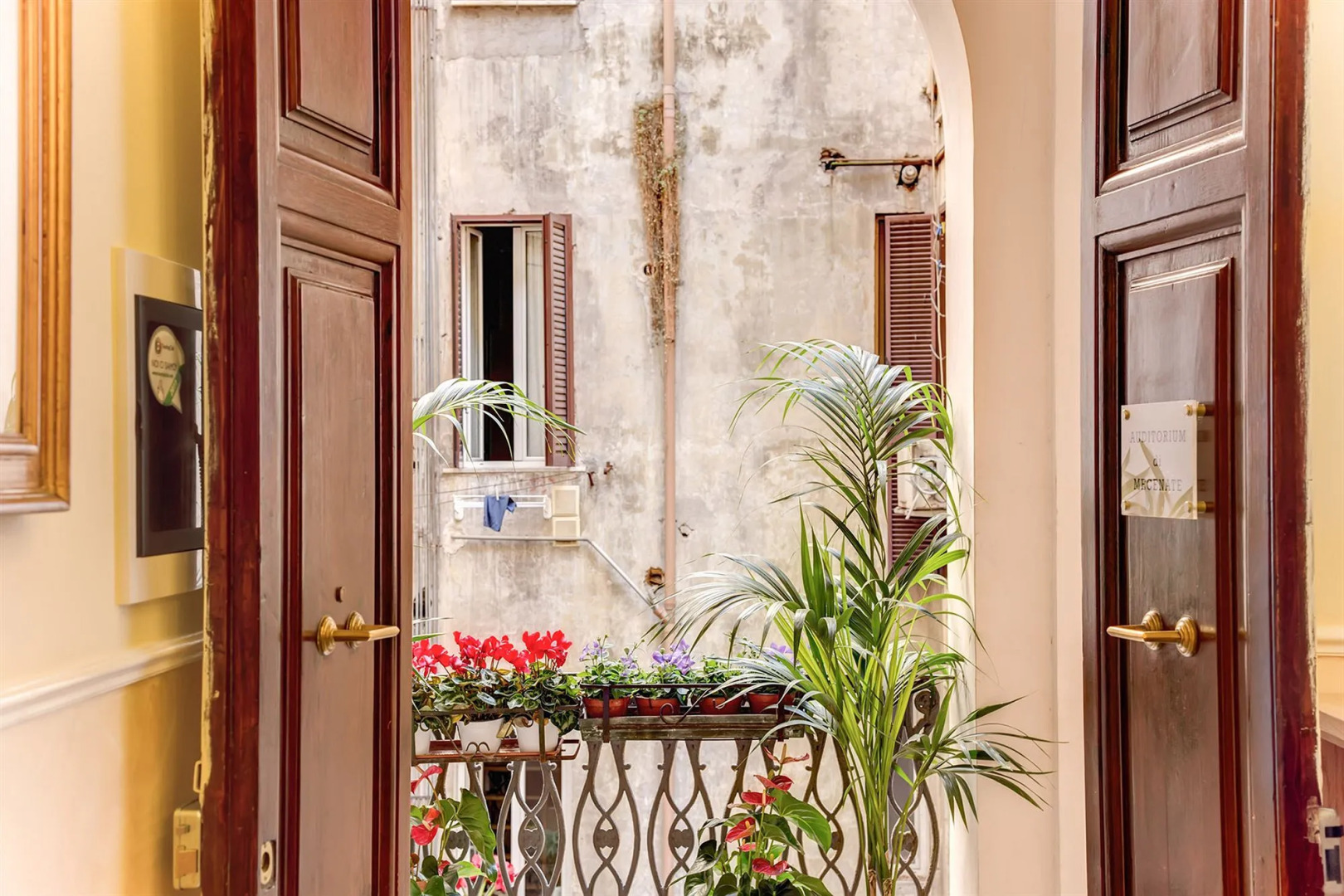 Foto - Auditorium Mecenate