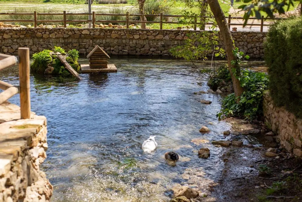Foto - Hotel Rural El Castillejo - A 15 min de Ronda