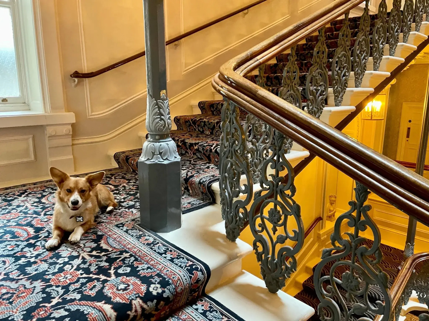 Photo - The Grand Brighton