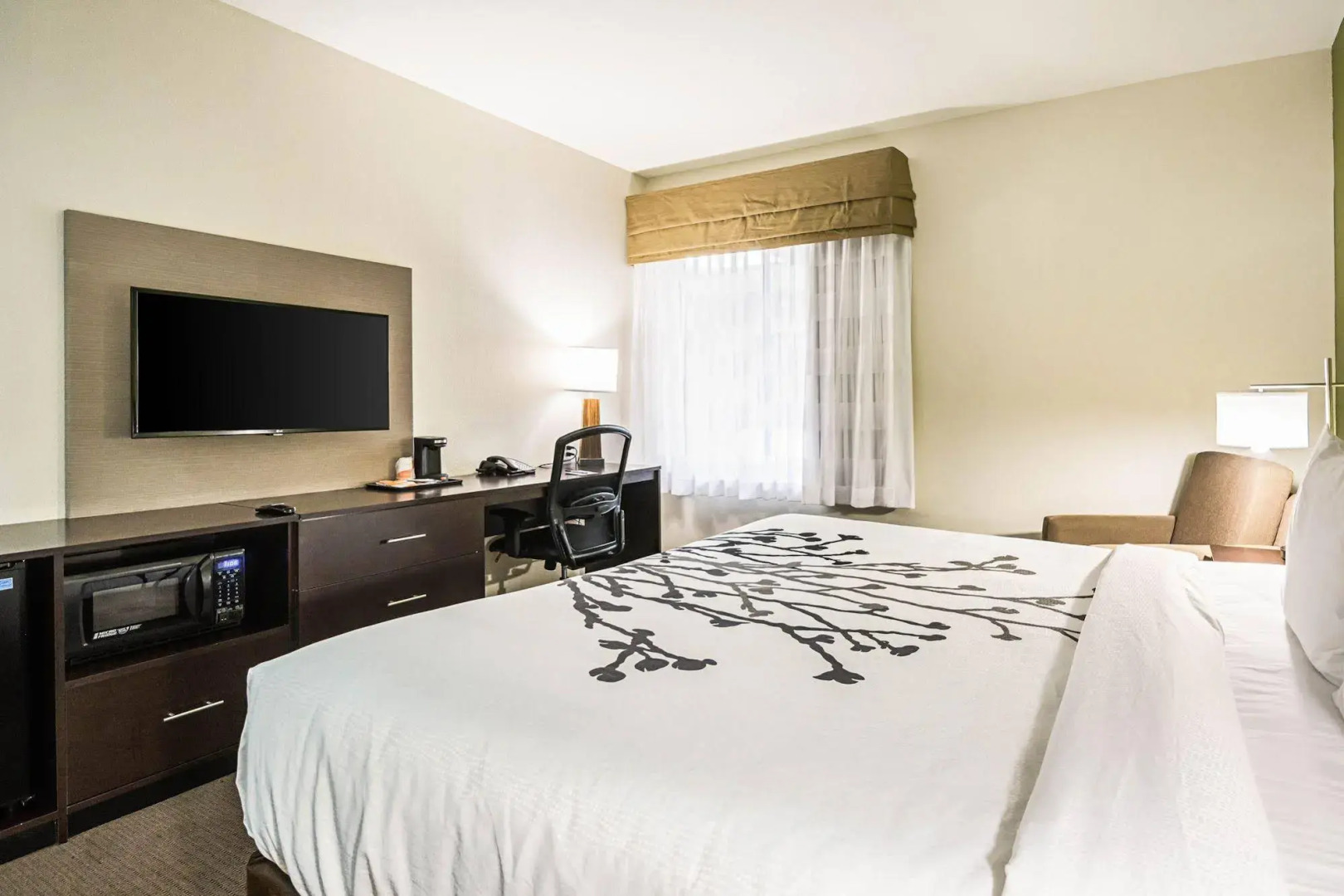 Foto - Sleep Inn Dallas Love Field-Medical District