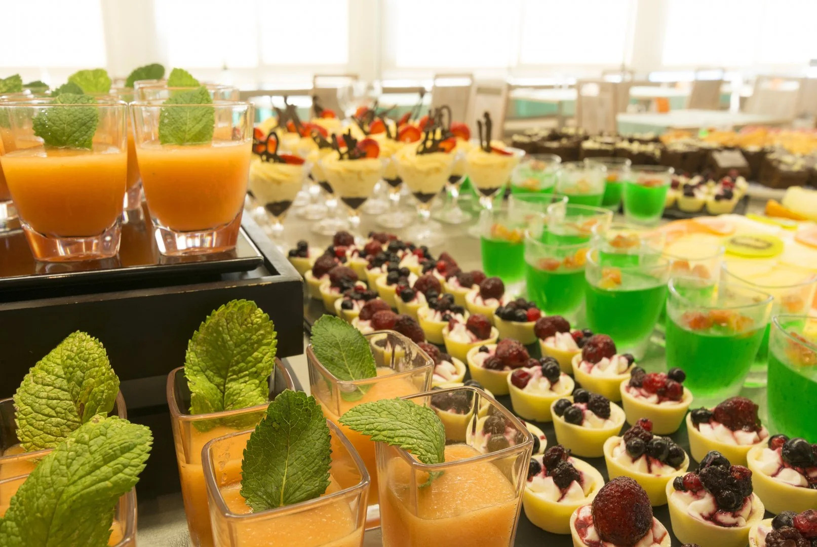 Photo - HSM Regana - Adults Only