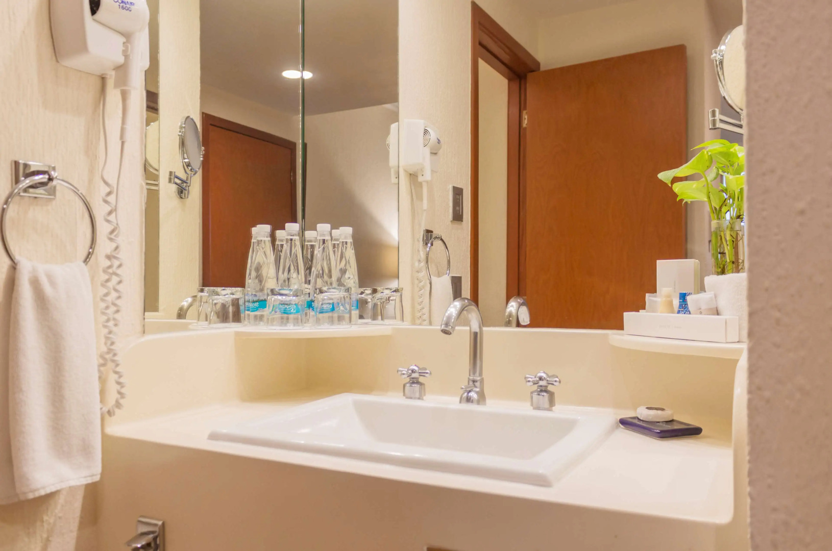 Foto - Hotel Guadalajara Plaza Expo