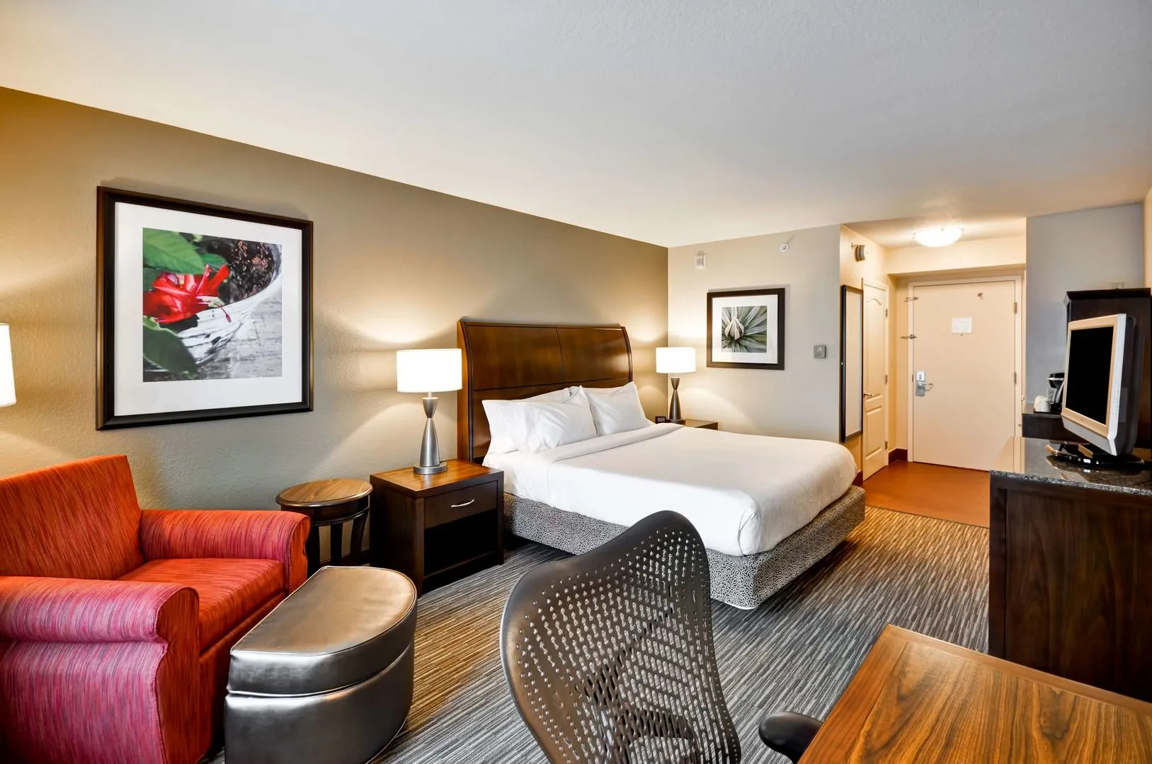 Foto - Hilton Garden Inn Tampa North