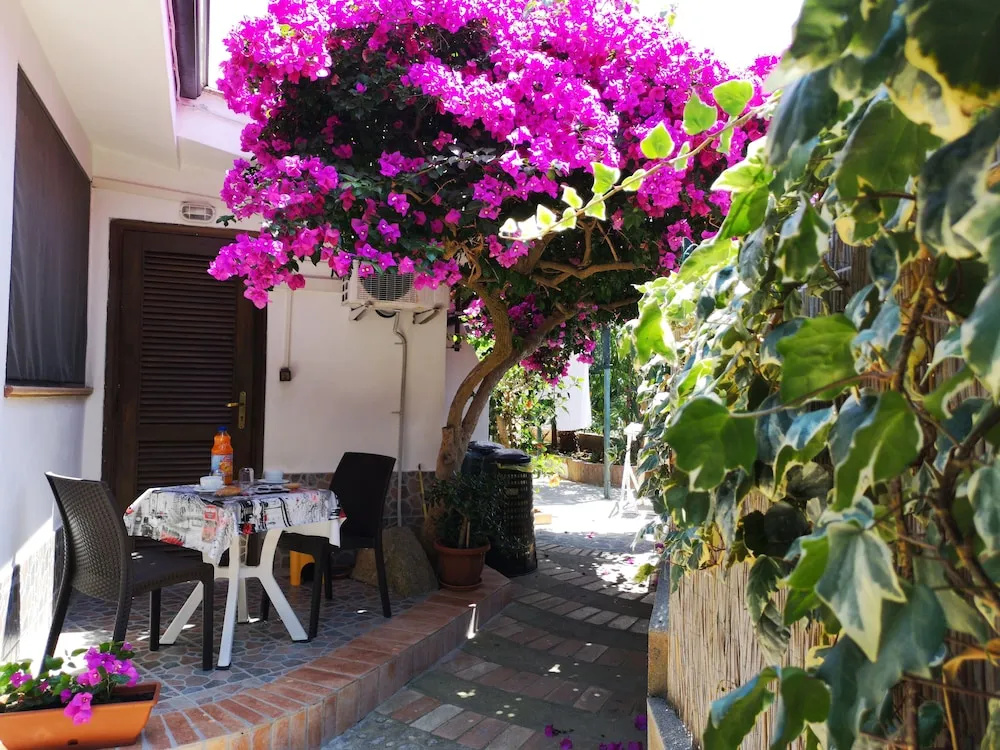 Photo - B&B Baia di Riaci Tropea