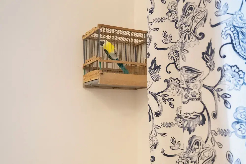 Photo - La casa di LùAle e Zoe
