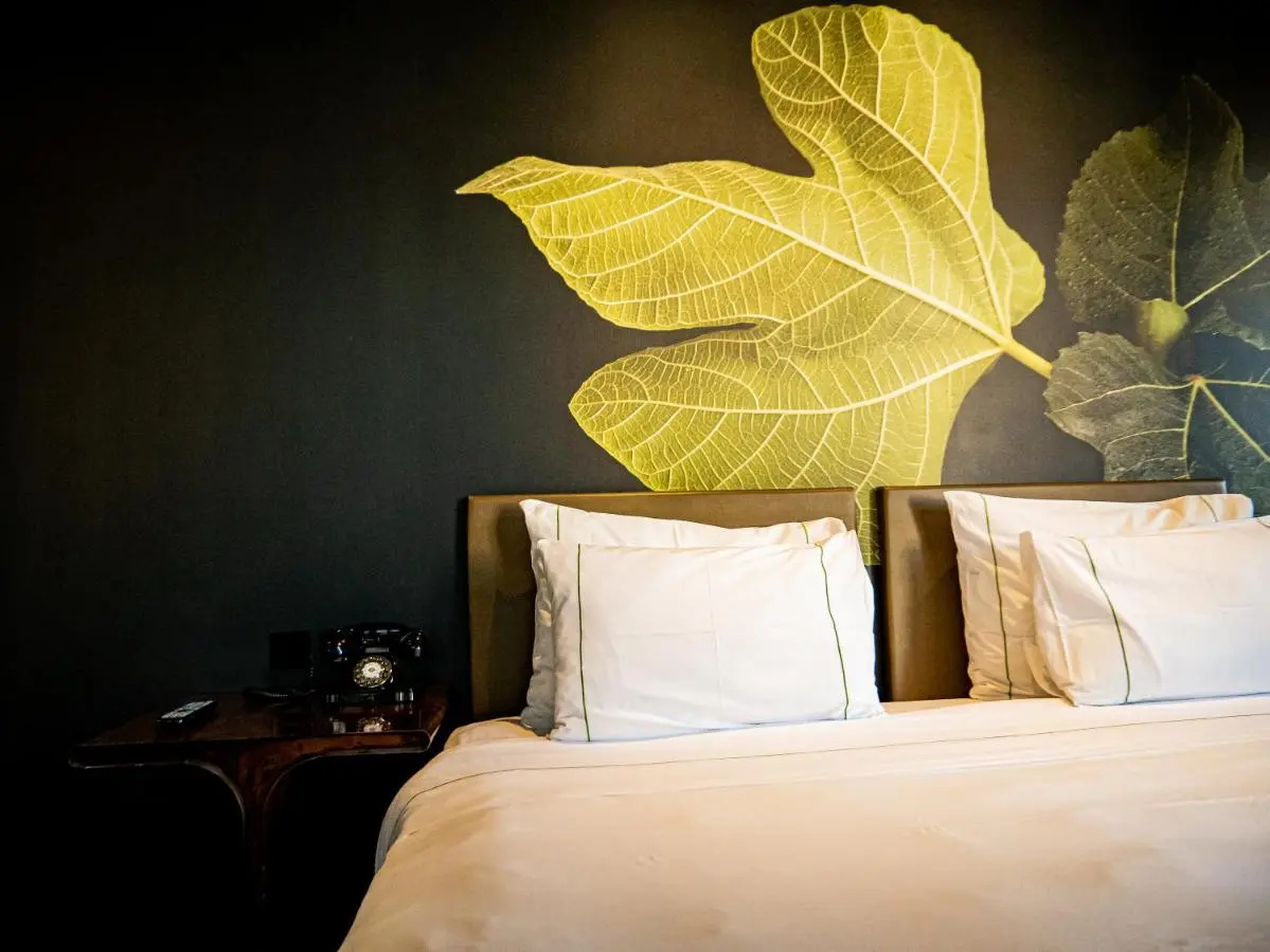 Foto - Figueira by The Beautique Hotels & SPA