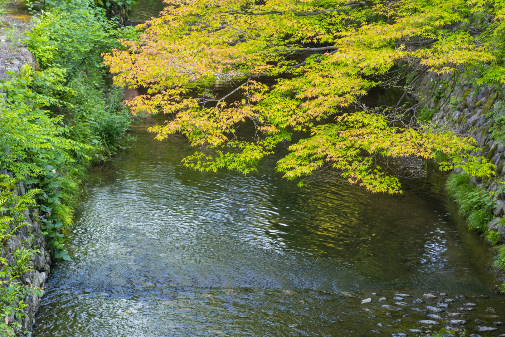 Foto - ROKU KYOTO, LXR Hotels & Resorts by Hilton