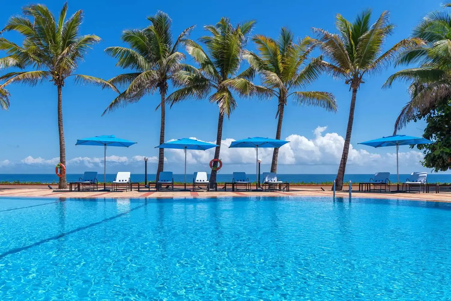 Foto - Sea Cliff Hotel