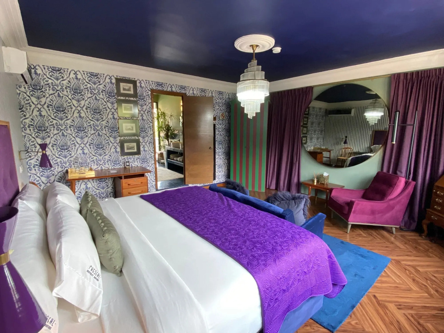 Photo - Pug Seal Polanco Anatole France