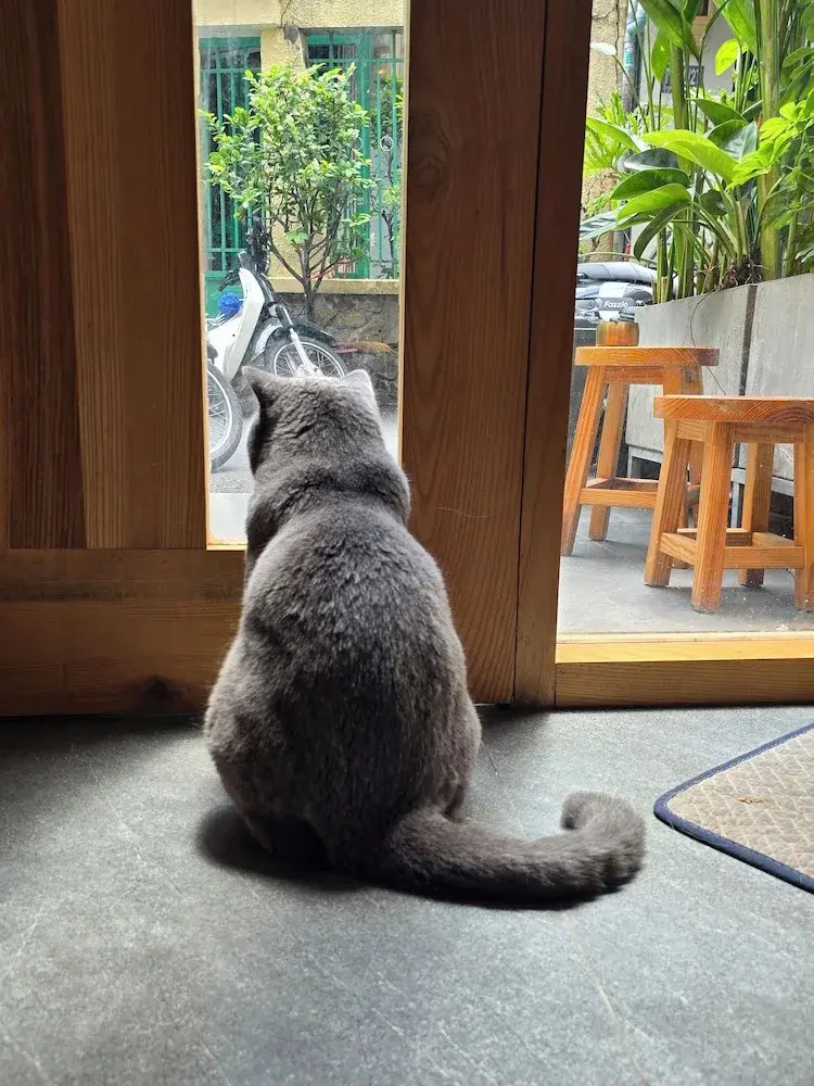 Foto - HALF Coffee N Dorm