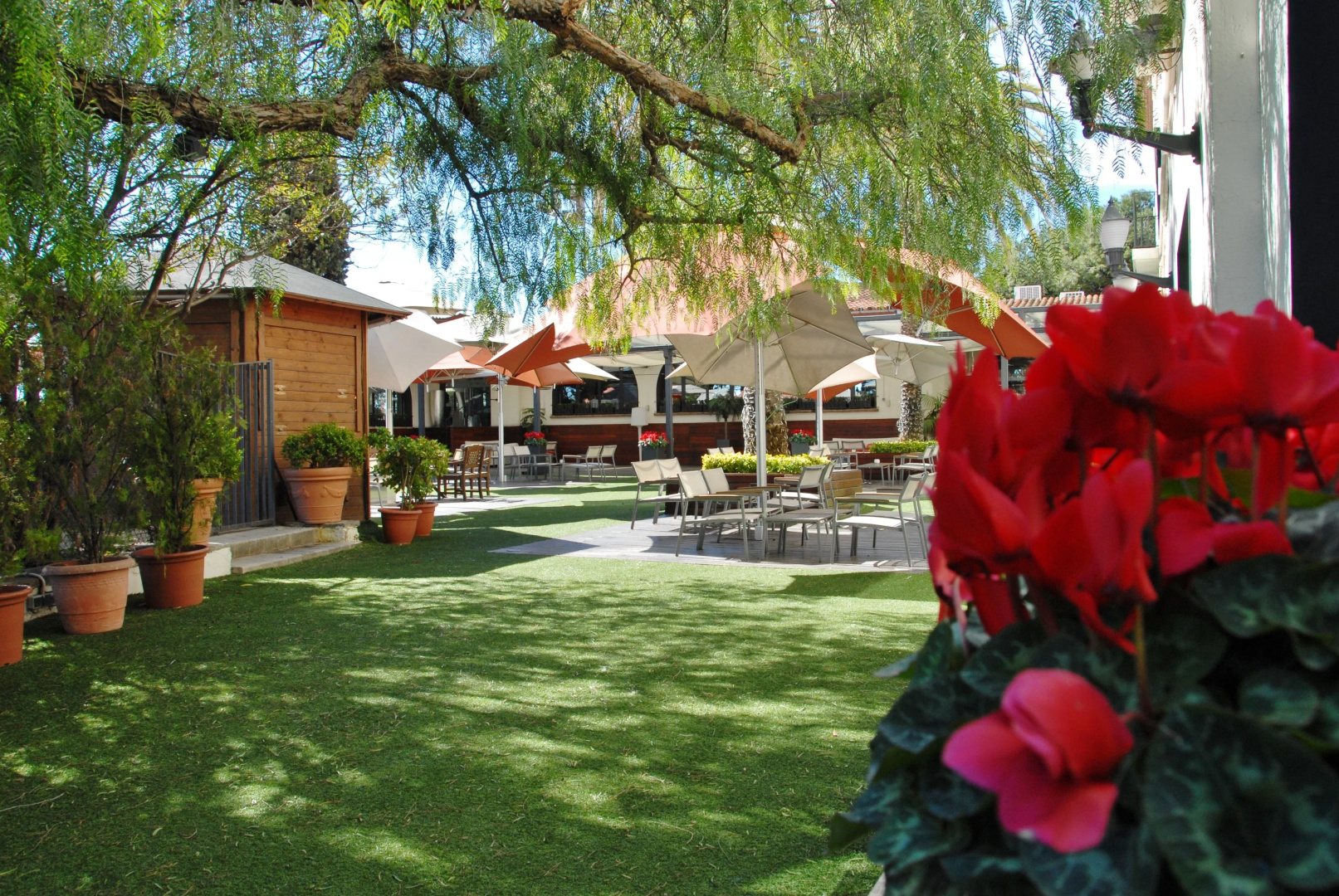 Photo - Hotel El Castell